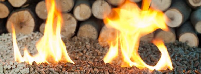 Enerige & Management > Holz - Mit Holz heizen: Pellets wärmen immer mehr Wohnungen