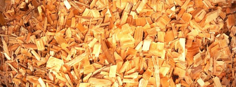 Enerige & Management > Holz - Moosach heizt mit Holz und Solarthermie