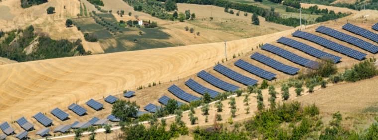 Enerige & Management > Photovoltaik - Stadt stoppt Photovoltaik auf Agrarflächen