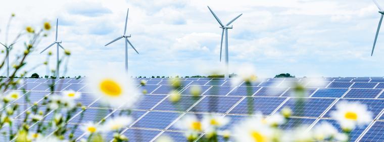 Enerige & Management > Regenerative - 2023 deutlicher Zuwachs an Kapazität bei erneuerbaren Energien