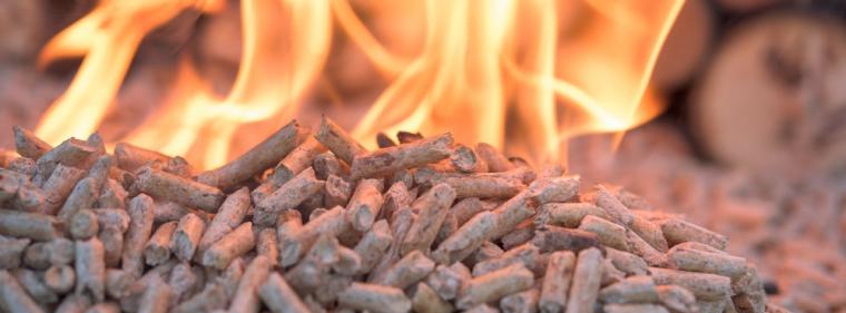 Enerige & Management > Wärme - Holzpellets besonders günstig zum Jahresausklang