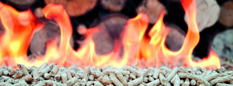 Enerige & Management > Wärme - Umweltschützer warnen vor Holzheizung
