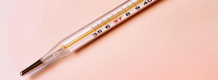 Enerige & Management > Wirtschaft - Fachkräftemangel bleibt Wachstumsbremse