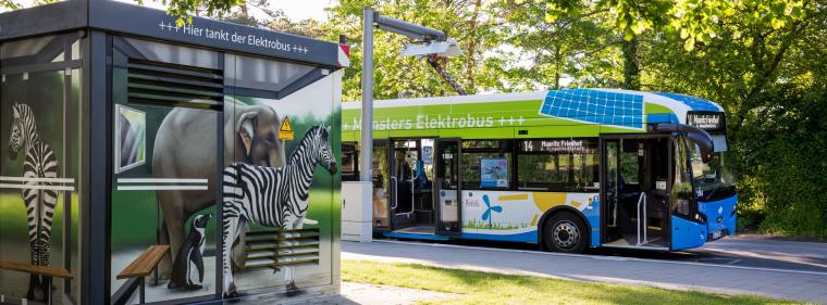 Enerige & Management > Elektrofahrzeuge - Elektrobusse erobern die Städte