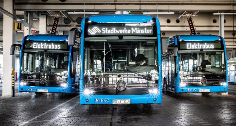 Enerige & Management > Elektrofahrzeuge - E-Bus-Flotte in Münster wächst weiter