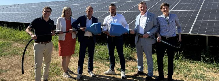 Enerige & Management > Photovoltaik - 70-MW-Solarpark am Netz - subventionsfrei