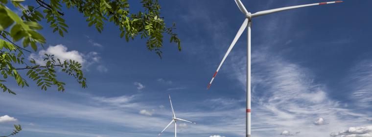 Enerige & Management > Windkraft Onshore - Trianel errichtet ersten Windpark in Schleswig-Holstein