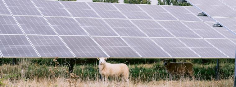 Enerige & Management > Photovoltaik - Baywa Re bereinigt Portfolio