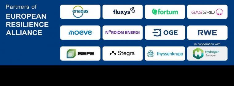 Enerige & Management > Wasserstoff - Eine Allianz für Europas Wasserstoffinfrastruktur